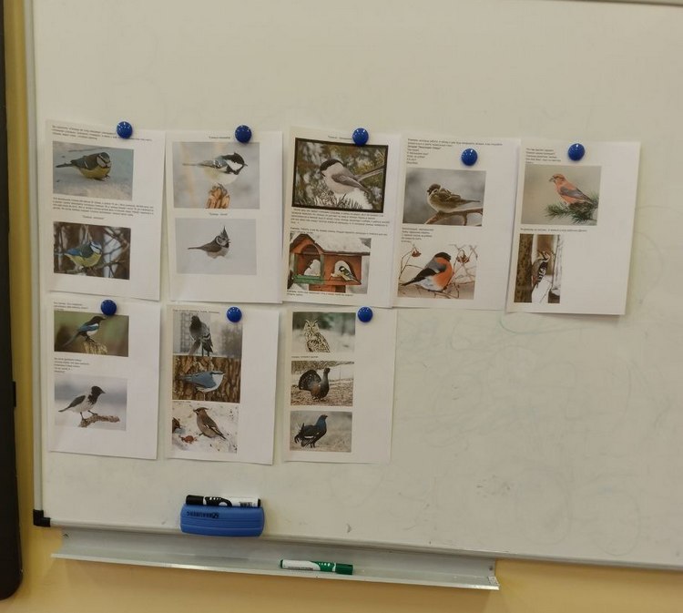 photo_2025-11-12_15-42-00